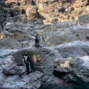 ヒメ日記 2025/09/08 12:32 投稿 松本 熟女の風俗最終章 横浜本店