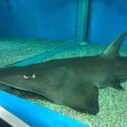 ヒメ日記 2025/09/24 14:39 投稿 松本 熟女の風俗最終章 横浜本店