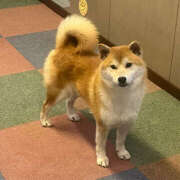 ヒメ日記 2025/08/18 21:15 投稿 いっちゃん バイオレンス