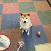 ヒメ日記 2025/08/20 15:08 投稿 いっちゃん バイオレンス