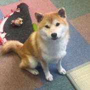 ヒメ日記 2025/08/31 15:45 投稿 いっちゃん バイオレンス