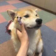 ヒメ日記 2025/09/18 17:45 投稿 いっちゃん バイオレンス