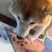 ヒメ日記 2025/10/02 15:15 投稿 いっちゃん バイオレンス