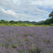 ヒメ日記 2025/07/25 07:12 投稿 鏡　ふわり プルプル倶楽部 札幌すすきの店