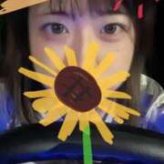 ヒメ日記 2025/08/16 14:15 投稿 鏡　ふわり プルプル倶楽部 札幌すすきの店