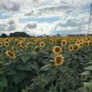 ヒメ日記 2025/09/17 10:33 投稿 鏡　ふわり プルプル倶楽部 札幌すすきの店