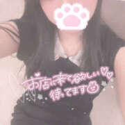 ヒメ日記 2026/03/12 13:16 投稿 こはむ ハピネス東京 吉原店