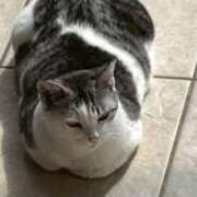 ヒメ日記 2025/10/05 17:52 投稿 なつみ プラチナ