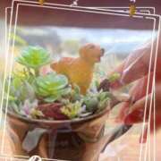 ヒメ日記 2025/10/28 14:22 投稿 なつみ プラチナ