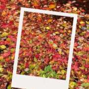 ヒメ日記 2025/10/29 17:22 投稿 なつみ プラチナ