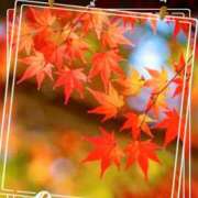 ヒメ日記 2025/11/04 07:32 投稿 なつみ プラチナ