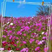 ヒメ日記 2025/11/07 08:32 投稿 なつみ プラチナ