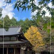 ヒメ日記 2025/11/11 14:12 投稿 なつみ プラチナ