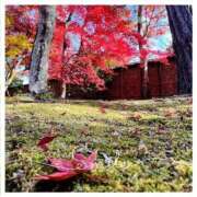 ヒメ日記 2025/11/24 12:02 投稿 なつみ プラチナ