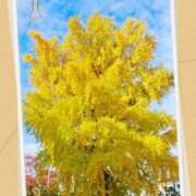 ヒメ日記 2025/11/27 07:52 投稿 なつみ プラチナ