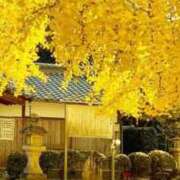 ヒメ日記 2025/12/02 05:42 投稿 なつみ プラチナ