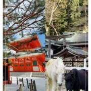 ヒメ日記 2026/01/23 20:10 投稿 なつみ プラチナ