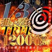 ヒメ日記 2026/02/25 13:40 投稿 なつみ プラチナ