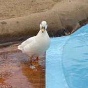 ヒメ日記 2025/09/21 12:00 投稿 さら 極楽城(ゴクラクジョウ)