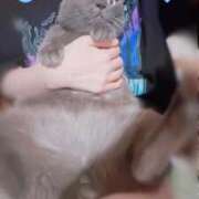 ヒメ日記 2025/09/14 22:26 投稿 伊藤なつめ 月の真珠-五反田-