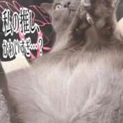 ヒメ日記 2025/09/24 18:23 投稿 伊藤なつめ 月の真珠-五反田-