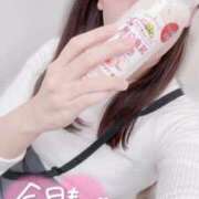 ヒメ日記 2025/11/18 21:27 投稿 伊藤なつめ 月の真珠-五反田-