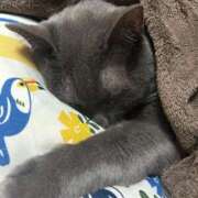 ヒメ日記 2026/01/27 15:33 投稿 伊藤なつめ 月の真珠-五反田-