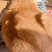 ヒメ日記 2026/02/09 12:08 投稿 伊藤なつめ 月の真珠-五反田-