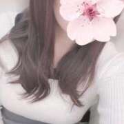 伊藤なつめ 猫様と一緒 月の真珠-五反田-