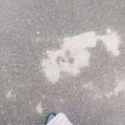 ヒメ日記 2026/03/16 21:50 投稿 伊藤なつめ 月の真珠-五反田-