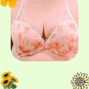 ヒメ日記 2025/08/09 07:04 投稿 はな 美熟女倶楽部Hip's 春日部店