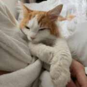 ヒメ日記 2025/08/01 19:50 投稿 神崎ゆあ ゴールドクイーン