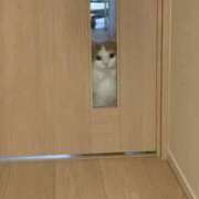 ヒメ日記 2025/08/21 20:10 投稿 神崎ゆあ ゴールドクイーン