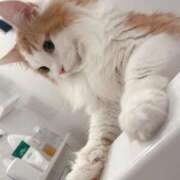 ヒメ日記 2025/09/08 14:30 投稿 神崎ゆあ ゴールドクイーン