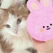 ヒメ日記 2025/11/03 13:34 投稿 神崎ゆあ ゴールドクイーン