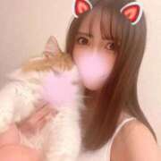 ヒメ日記 2025/11/27 10:10 投稿 神崎ゆあ ゴールドクイーン