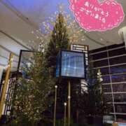 ヒメ日記 2025/12/11 01:00 投稿 みなみ タレント倶楽部Around40