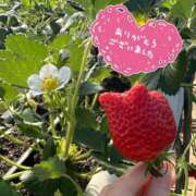 みなみ Y○hooニュース情報 タレント倶楽部Around40