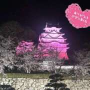 みなみ ヒラヒラ タレント倶楽部Around40