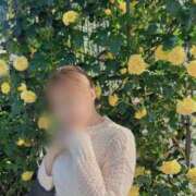 ヒメ日記 2025/08/22 00:33 投稿 はづき ごほうびSPA 大阪店