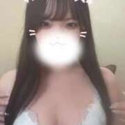 ヒメ日記 2025/08/27 14:12 投稿 ゆうり ホワイトベル