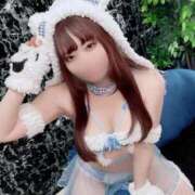 ヒメ日記 2025/11/02 13:04 投稿 ゆうり ホワイトベル