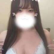 ヒメ日記 2025/11/24 17:06 投稿 ゆうり ホワイトベル