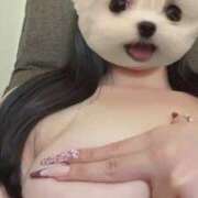 ヒメ日記 2025/12/26 12:34 投稿 ゆうり ホワイトベル