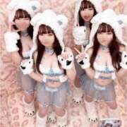 ゆうり ご報告 ホワイトベル