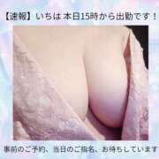 ヒメ日記 2025/09/13 09:25 投稿 いちは おいらん遊郭