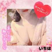 ヒメ日記 2025/09/20 11:05 投稿 いちは おいらん遊郭