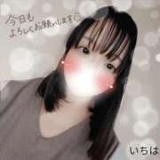 ヒメ日記 2025/11/13 08:58 投稿 いちは おいらん遊郭