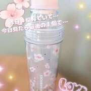 ヒメ日記 2026/02/20 18:17 投稿 いちは おいらん遊郭