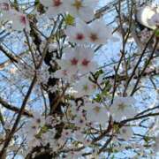 ヒメ日記 2026/03/27 16:32 投稿 いちは おいらん遊郭